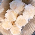 Best Shumai Dumplings in York, PA